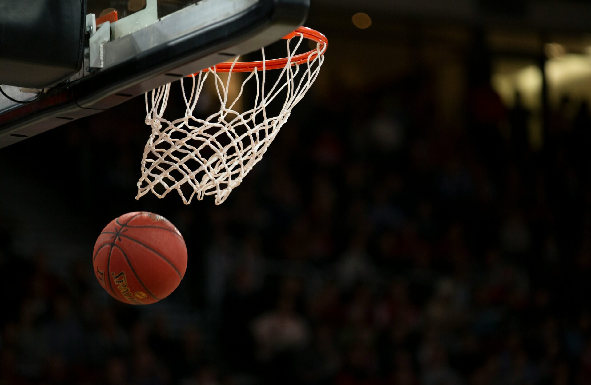Image of Basketball in the Hoop